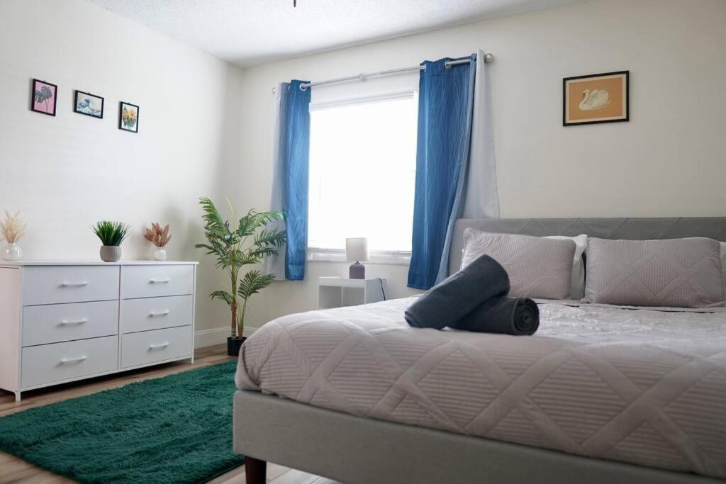 Jay'S Cozy Arts Apartment Tampa Bagian luar foto